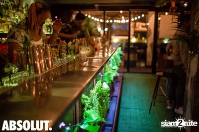 Jungle Party at Revolucion Cocktail  — photo 6