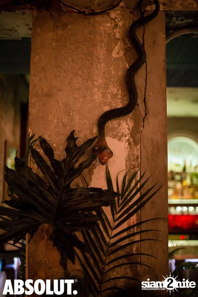 Jungle Party at Revolucion Cocktail  — photo 10