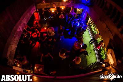 Jungle Party at Revolucion Cocktail  — photo 75