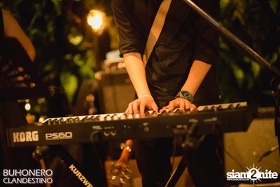 Concert Gallery at Black Cabin — photo 17