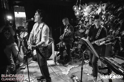 Concert Gallery at Black Cabin — photo 138