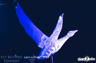 Fly Beyond Tonight by Grey Goose at Central World — photo 97