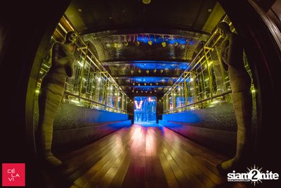 Monster's Ball ที่ เซ ลา วี — photo 8