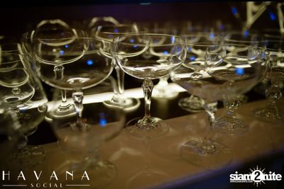 Afro Cuban Night at Havana Social — photo 90