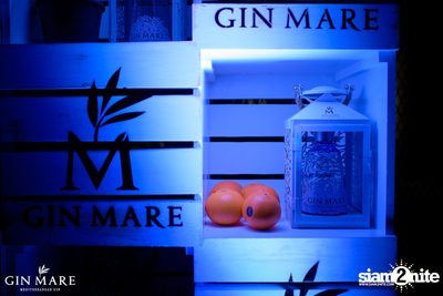 Salt x Gin Mare Presents A Mediterranean Evening at Salt Aree — photo 10