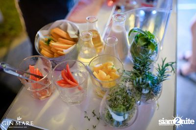 Salt x Gin Mare Presents A Mediterranean Evening at Salt Aree — photo 16