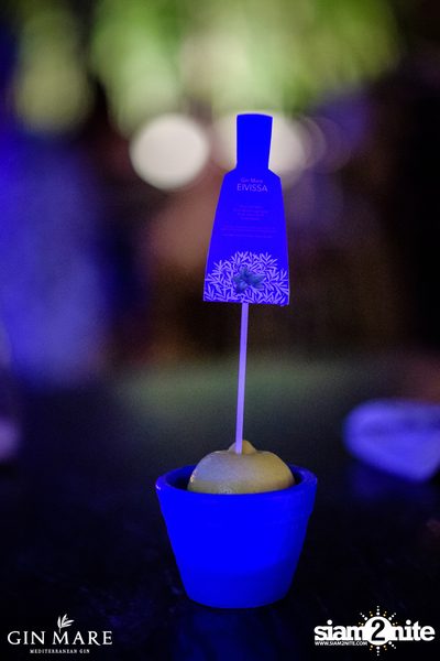 Salt x Gin Mare Presents A Mediterranean Evening at Salt Aree — photo 27