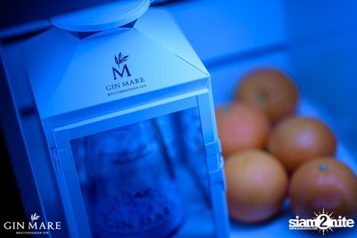 Salt x Gin Mare Presents A Mediterranean Evening at Salt Aree — photo 31