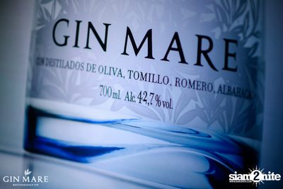 Salt x Gin Mare Presents A Mediterranean Evening at Salt Aree — photo 42