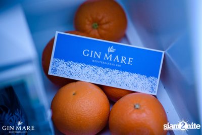Salt x Gin Mare Presents A Mediterranean Evening at Salt Aree — photo 47