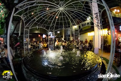 Polycat Live at Chongcharoen Festival — photo 48