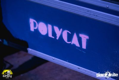 Polycat Live at Chongcharoen Festival — photo 117