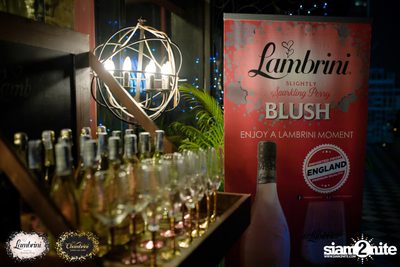 Bohemian Night ที่ โมโจ เลานจ์ บาร์ — photo 13