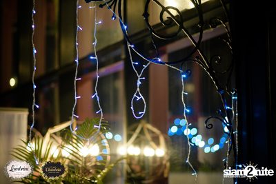 Bohemian Night ที่ โมโจ เลานจ์ บาร์ — photo 15