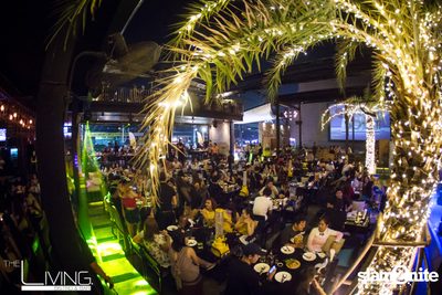 Atom & Lula at The Living Bistro & Bar Pattaya — photo 78