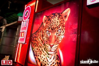 Leo presents NEO from KRONO Live at Flow House — photo 13