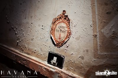 Havana Social 2nd Birthday Bash — photo 183