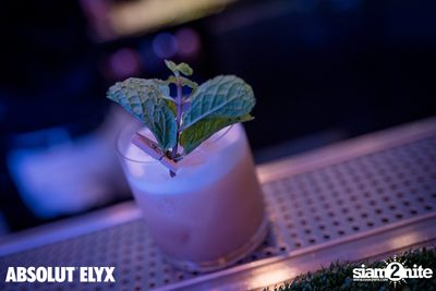 Anniversary Garden Party at Vogue Lounge Bangkok — photo 27