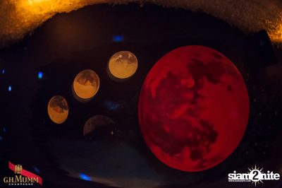 Nightfall Going Wild! at Luna Lounge — photo 81