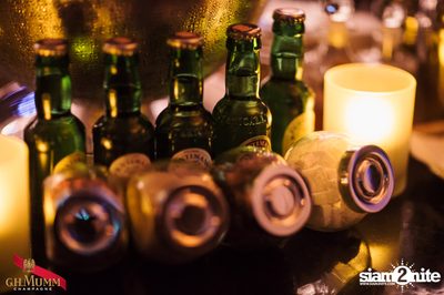 Nightfall Going Wild! at Luna Lounge — photo 93