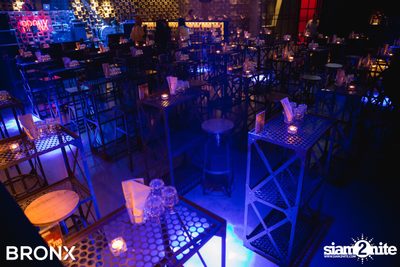สิงโต นำโชค ที่ บรองซ์ — photo 12