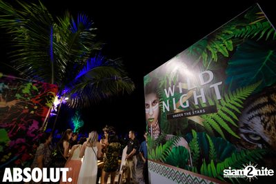 Wild Night Under The Stars at Hua Hin Marriott Resort & Spa — photo 7