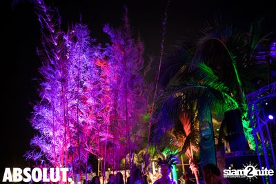 Wild Night Under The Stars at Hua Hin Marriott Resort & Spa — photo 35