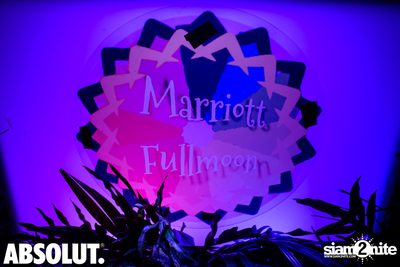 Wild Night Under The Stars at Hua Hin Marriott Resort & Spa — photo 39