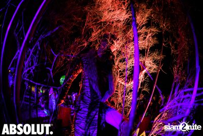 Wild Night Under The Stars at Hua Hin Marriott Resort & Spa — photo 76