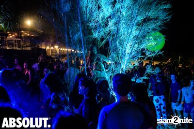 Wild Night Under The Stars at Hua Hin Marriott Resort & Spa — photo 201