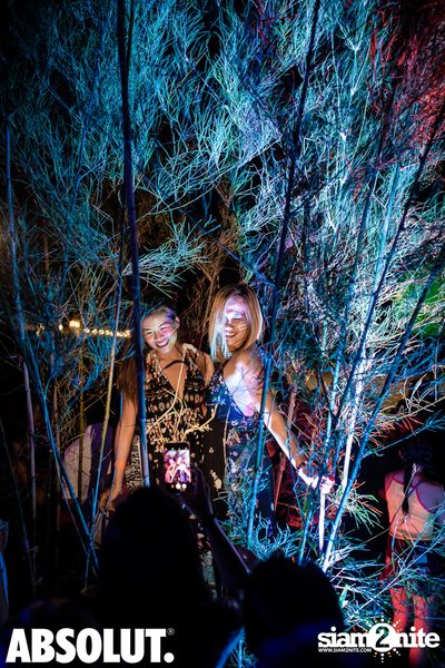 Wild Night Under The Stars at Hua Hin Marriott Resort & Spa — photo 202