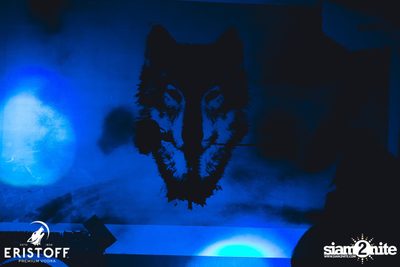 Eristoff Fire X Rap Is Now #WOLFNIGHT ที่ นอยซ์ คลับ — photo 24