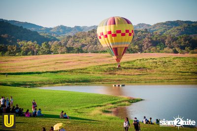 งาน Singha Park Chiangrai Farm Festival On The Hill — photo 1