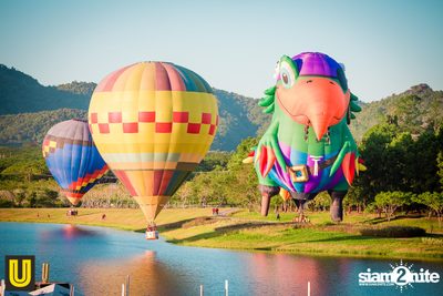 งาน Singha Park Chiangrai Farm Festival On The Hill — photo 13