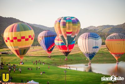 งาน Singha Park Chiangrai Farm Festival On The Hill — photo 16