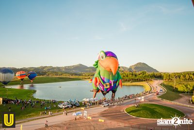 งาน Singha Park Chiangrai Farm Festival On The Hill — photo 20
