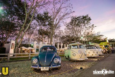 งาน Singha Park Chiangrai Farm Festival On The Hill — photo 35