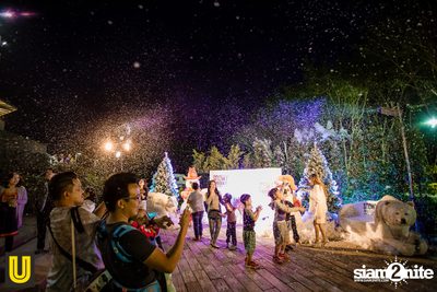 งาน Singha Park Chiangrai Farm Festival On The Hill — photo 57