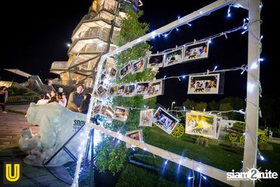 งาน Singha Park Chiangrai Farm Festival On The Hill — photo 114