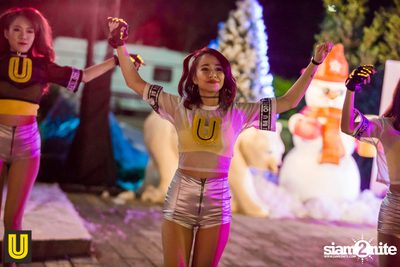 งาน Singha Park Chiangrai Farm Festival On The Hill — photo 154