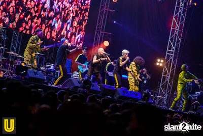 งาน Singha Park Chiangrai Farm Festival On The Hill — photo 210