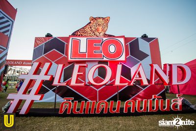 งาน Singha Park Chiangrai Farm Festival On The Hill — photo 11
