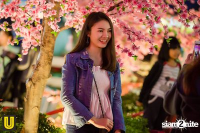 งาน Singha Park Chiangrai Farm Festival On The Hill — photo 27