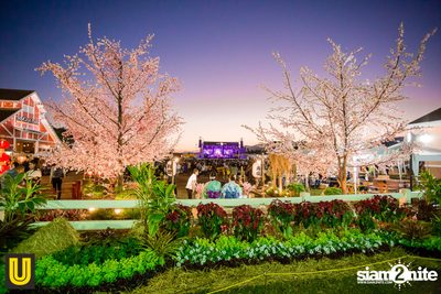 งาน Singha Park Chiangrai Farm Festival On The Hill — photo 30