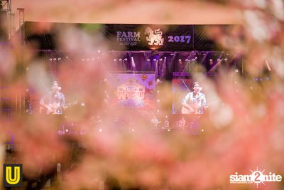 งาน Singha Park Chiangrai Farm Festival On The Hill — photo 33