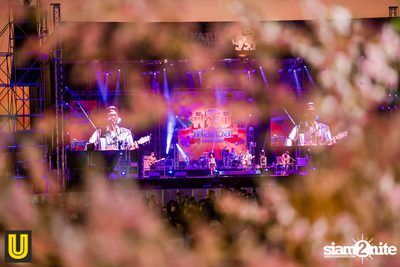 งาน Singha Park Chiangrai Farm Festival On The Hill — photo 35