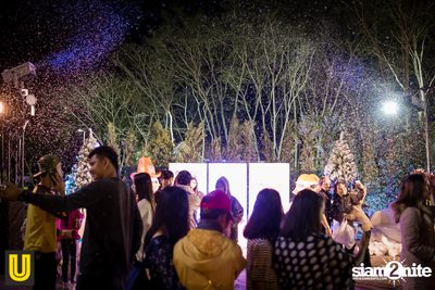 งาน Singha Park Chiangrai Farm Festival On The Hill — photo 99