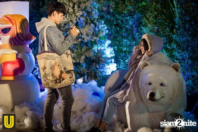 งาน Singha Park Chiangrai Farm Festival On The Hill — photo 106
