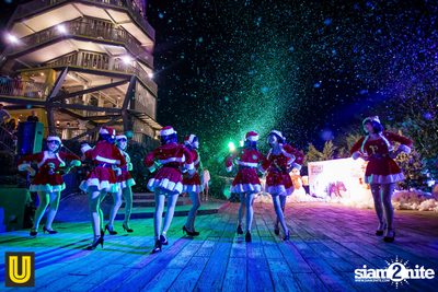 งาน Singha Park Chiangrai Farm Festival On The Hill — photo 133