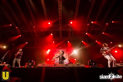 งาน Singha Park Chiangrai Farm Festival On The Hill — photo 162
